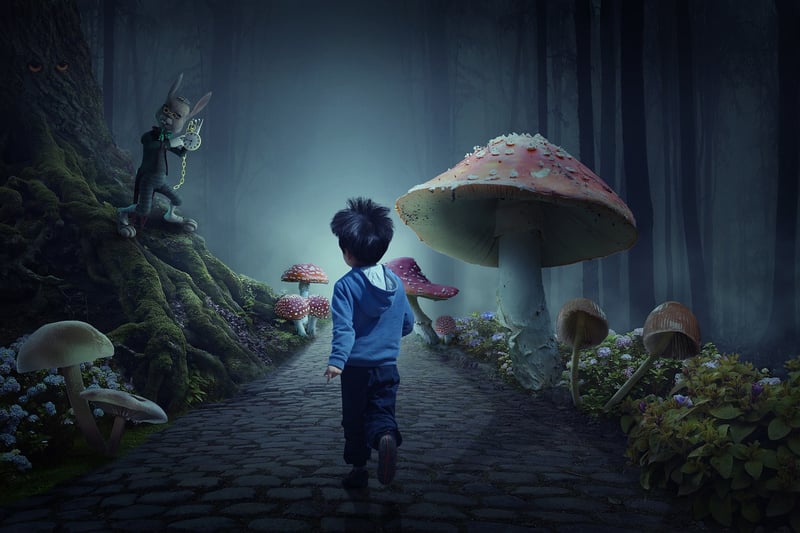 Fantasy Wonderland